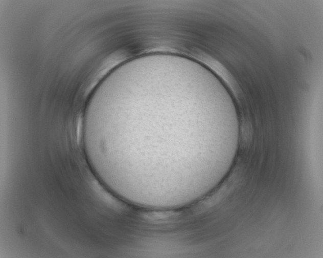 X0000113901290200910221430