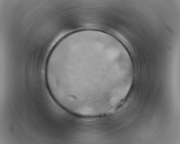 X0000113901291200910221430