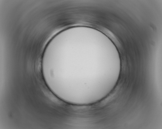 X0000113901292200910221430