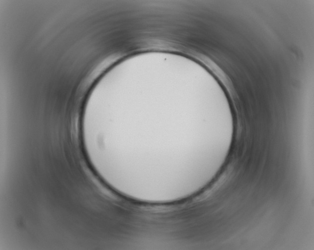 X0000113901293200910221430