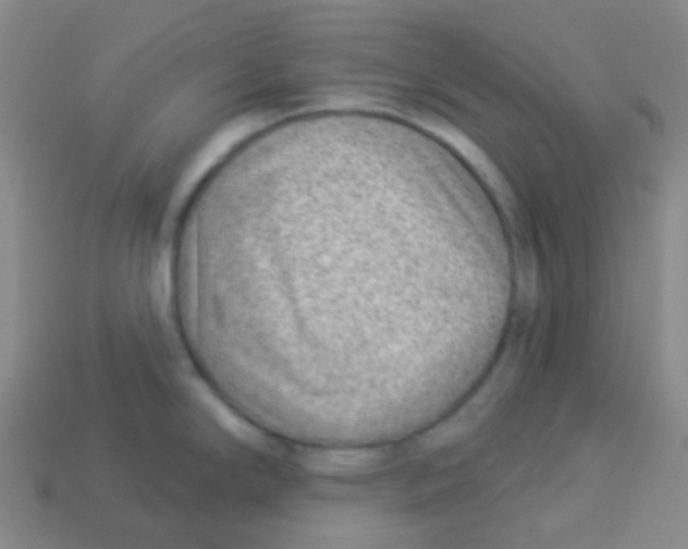 X0000113901294200910221430