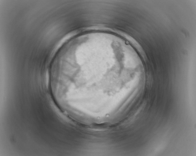 X0000113901295200910221430