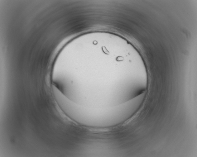 X0000113901296200910221430