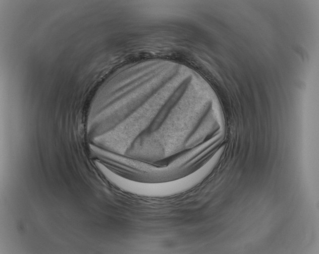 X0000113901298200910221429