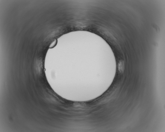 X0000113901299200910221429