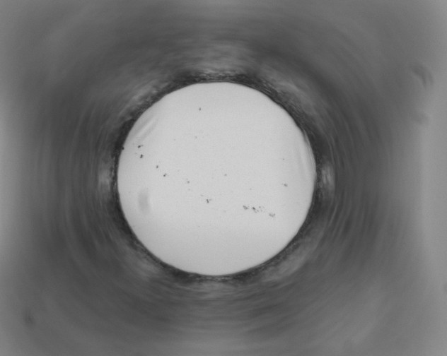 X0000113901300200910221429