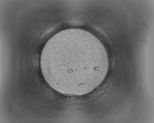 X0000113901301200910221429