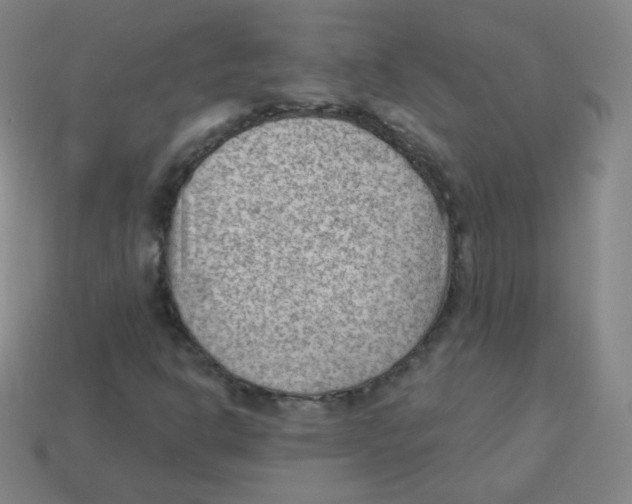 X0000113901302200910221429