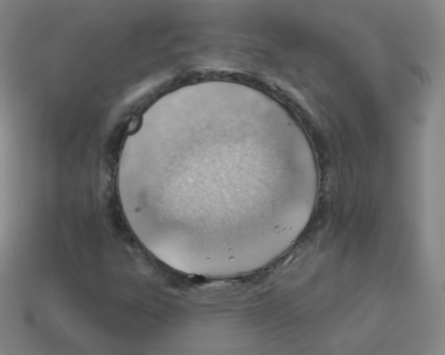 X0000113901303200910221429