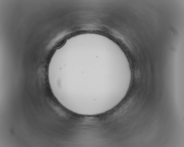 X0000113901304200910221429