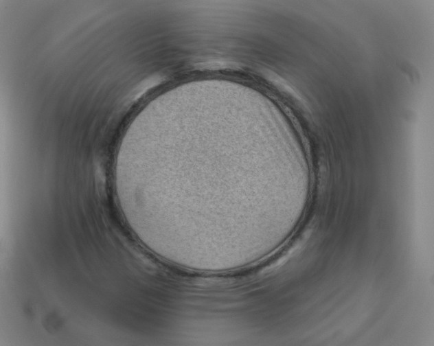 X0000113901305200910221429