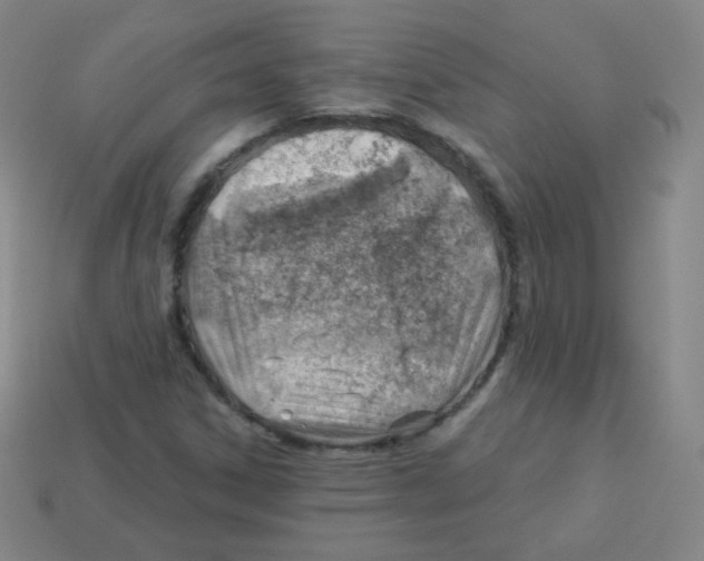 X0000113901306200910221429