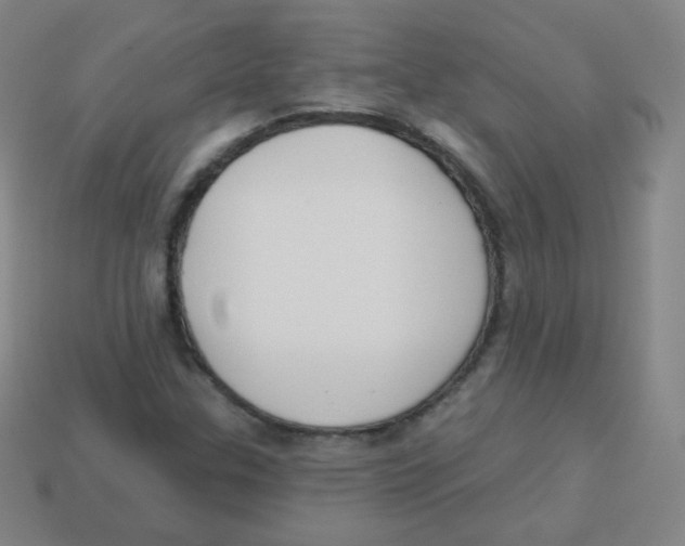 X0000113901307200910221429