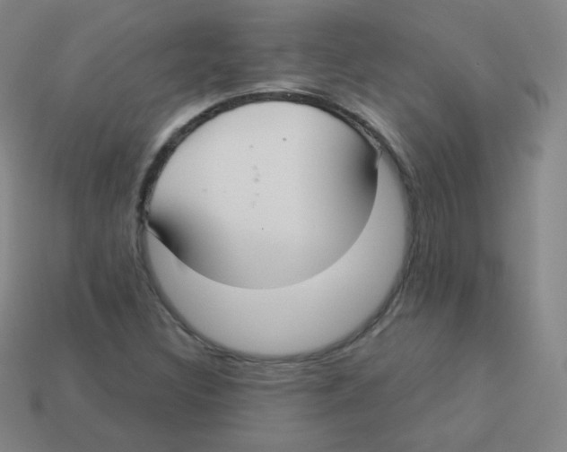 X0000113901308200910221429