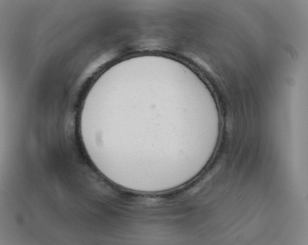 X0000113901309200910221429