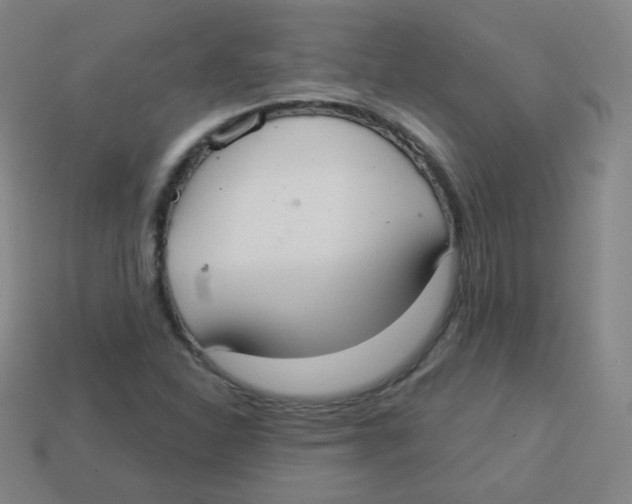 X0000113901310200910221429