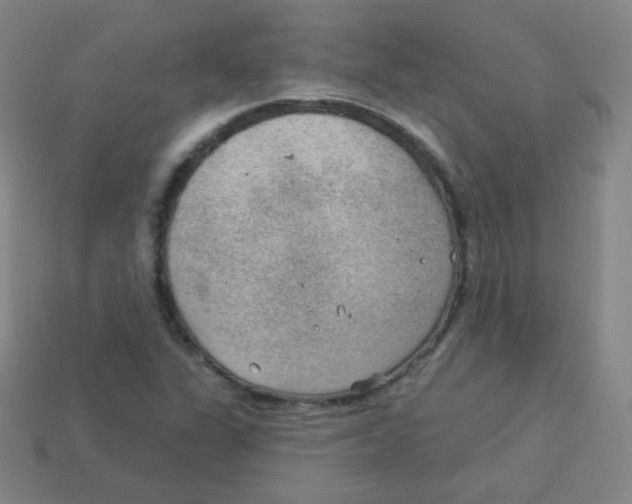 X0000113901311200910221429