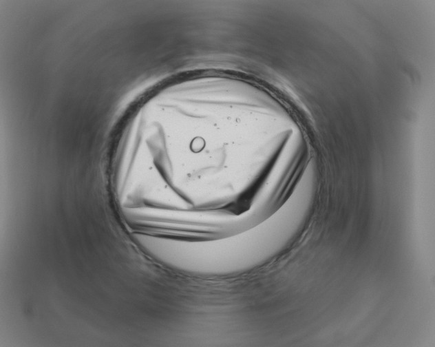 X0000113901312200910221429