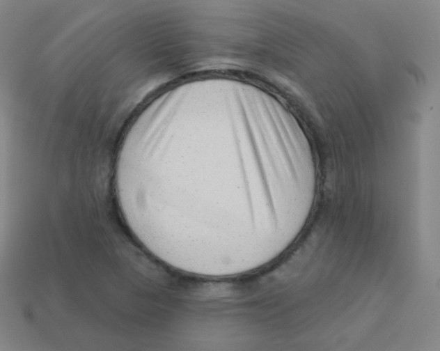 X0000113901313200910221429