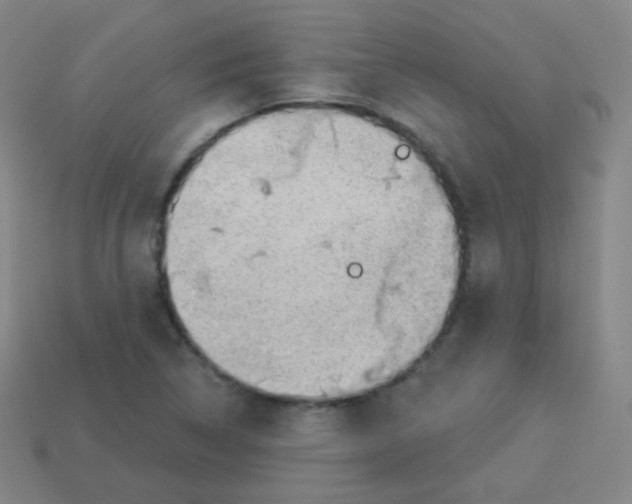 X0000113901314200910221429