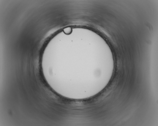 X0000113901315200910221429