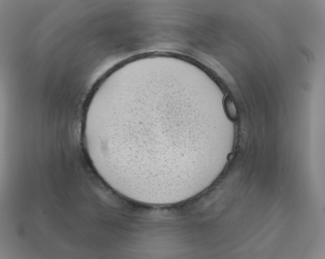 X0000113901316200910221430