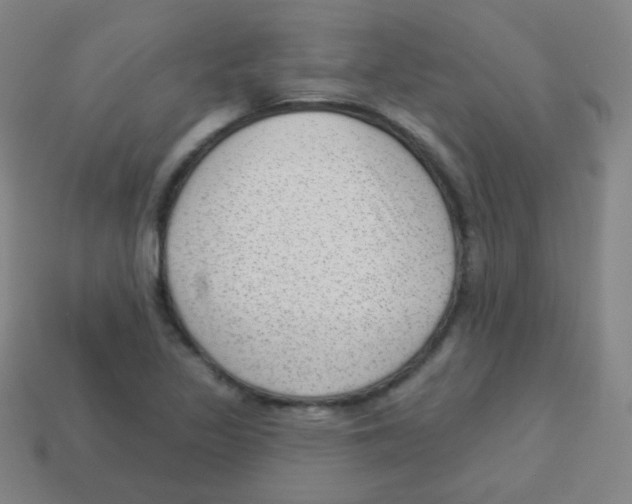 X0000113901317200910221430