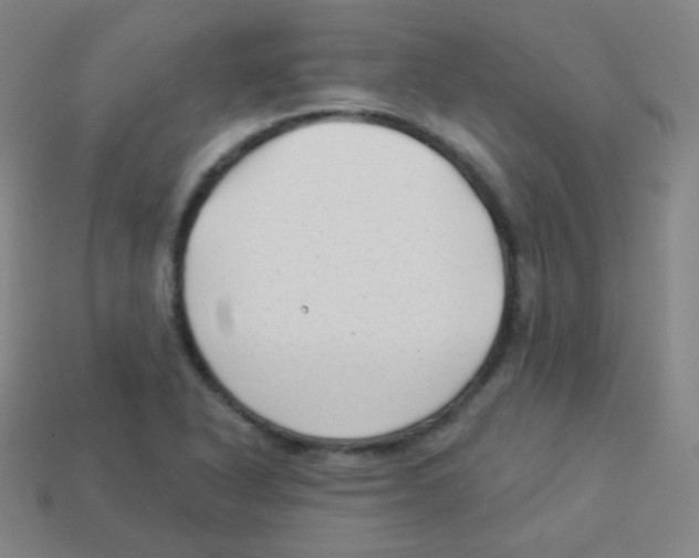 X0000113901318200910221430