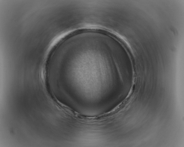 X0000113901319200910221430