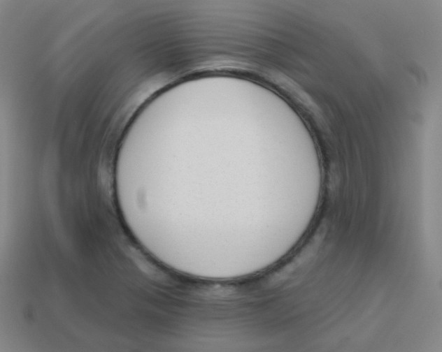 X0000113901321200910221430