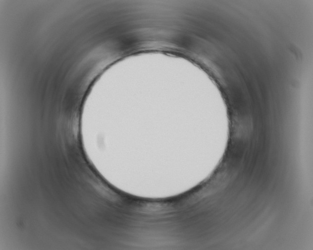 X0000113901322200910221430