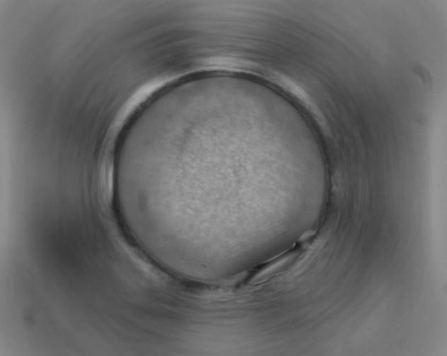 X0000113901323200910221430