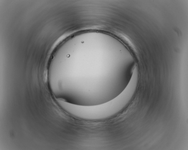 X0000113901324200910221430