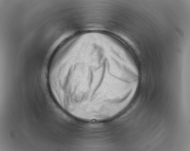 X0000113901325200910221430