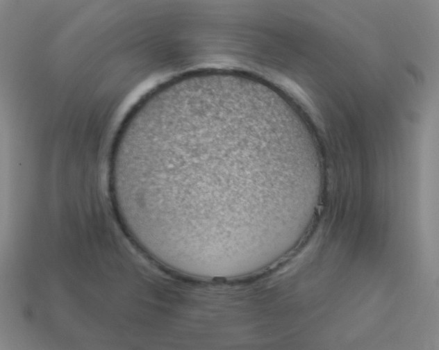 X0000113901326200910221430