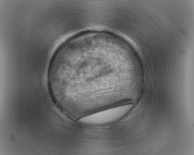 X0000113901327200910221430