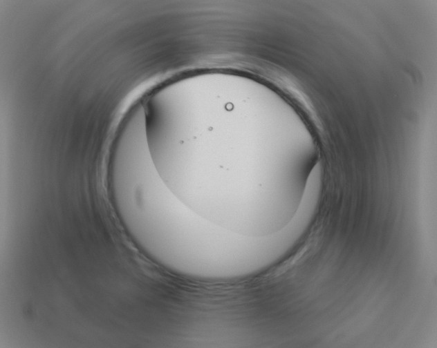 X0000113901328200910221430