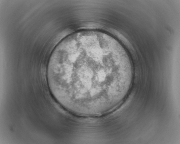 X0000113901329200910221430