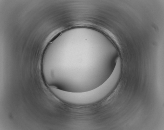 X0000113901330200910221430