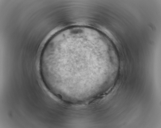 X0000113901331200910221430