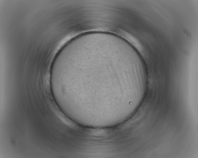 X0000113901332200910221430