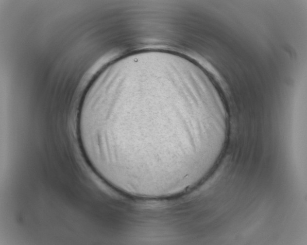 X0000113901333200910221430