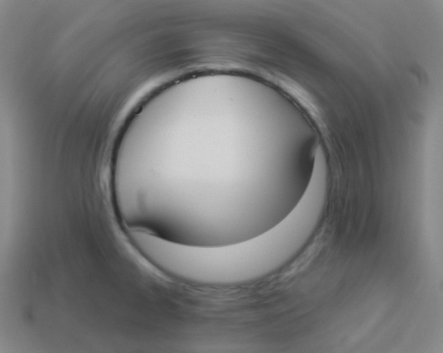 X0000113901334200910221430