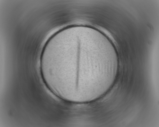 X0000113901335200910221430