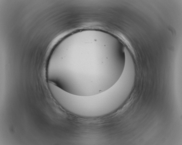 X0000113901336200910221430