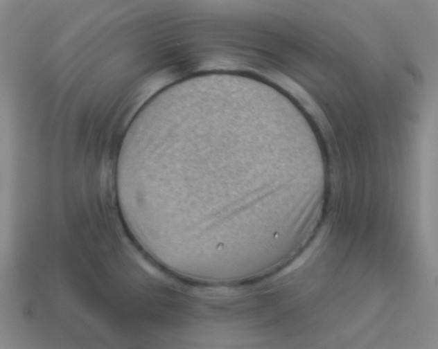 X0000113901337200910221430