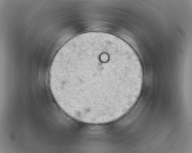 X0000113901338200910221430