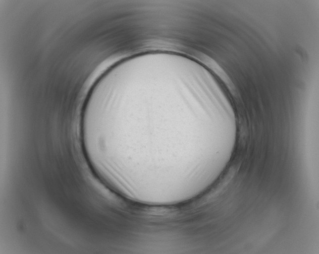 X0000113901339200910221430