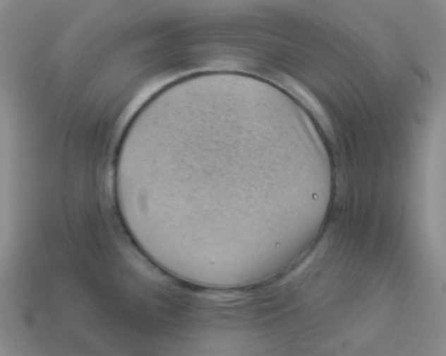 X0000113901340200910221430