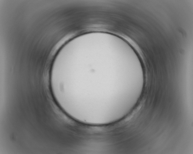 X0000113901341200910221430